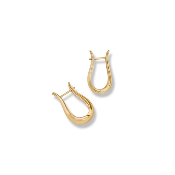 fashion hoop earrings